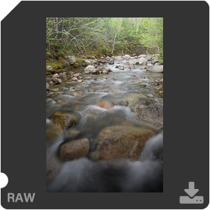 Камера Nikon D500 с объективом AF-S DX Nikkor 16-80mm f/2.8-4E ED VR. Примеры RAW файлов