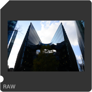 Камера Nikon Z 6 с объективом Nikkor Z 24-70mm f/4 S. Примеры RAW файлов