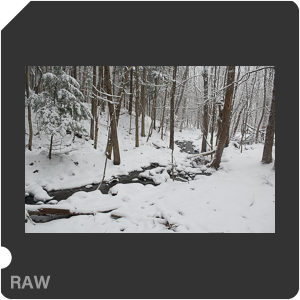 Nikon D3500 + AF-P DX Nikkor 18-55mm F/3.5-5.6G VR page2. Примеры RAW файлов