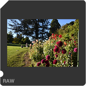 Камера Nikon Z 6III с объективом Nikkor Z 24-70mm f/2.8 S. Примеры RAW файлов