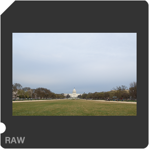 Nikon D5600 + AF-S Nikkor 20mm f/1.8G ED. Примеры RAW файлов