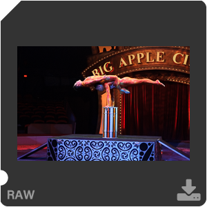 Камера Nikon D3s с объективом AF-S Nikkor 24-70mm f/2.8G ED. Примеры RAW файлов