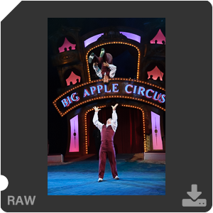 Камера Nikon D3s с объективом AF-S Nikkor 24-70mm f/2.8G ED. Примеры RAW файлов