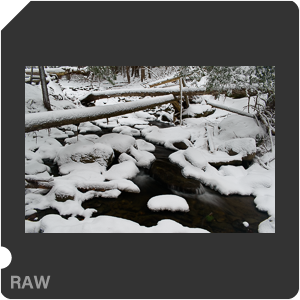 Nikon D3500 + AF-P DX Nikkor 18-55mm F/3.5-5.6G VR page2. Примеры RAW файлов