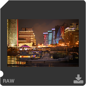 Камера Nikon D780 с объективом AF-P Nikkor 70-300mm f/4.5-5.6E ED VR. Примеры RAW файлов