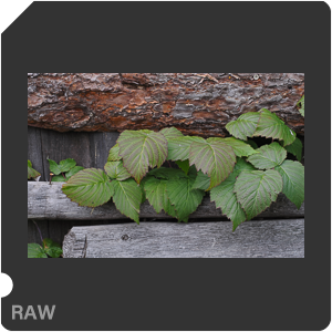 RAW sample