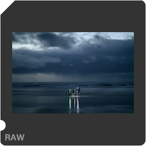 Nikon Z 9 Camera with Nikkor Z 85mm f/1.8 S. Examples of RAW files