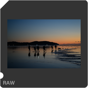 Nikon Z 9 Camera with Nikkor Z 85mm f/1.8 S. Examples of RAW files