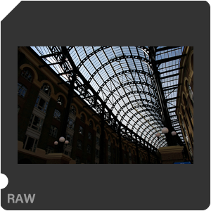 Камера Nikon D3400 с объективом AF-P DX Nikkor 18-55mm f/3.5-5.6G. Примеры RAW файлов