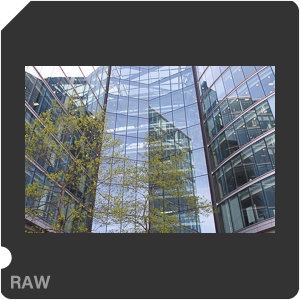 RAW sample