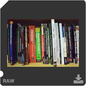 Nikon D4s Camera with AF-S Zoom-Nikkor 24-70mm f/2.8G ED. Examples of RAW files