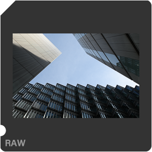 RAW sample