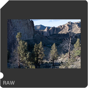 Nikon Z 7 + Viltrox AF 40mm f2.5 Z. Примеры RAW файлов