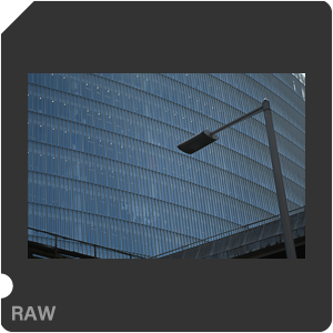 RAW sample