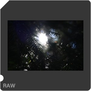 Nikon Z 50II Camera with Nikkor Z 40mm f/2.0. Examples of RAW files