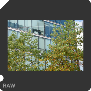RAW sample