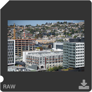 Nikon D810 Camera with AF-S Nikkor 105mm f/1.4E ED. Examples of RAW files