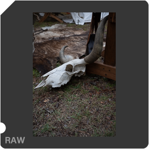 Nikon Z 8 + Nikkor Z 24-70mm f/2.8 S II. Examples of RAW files