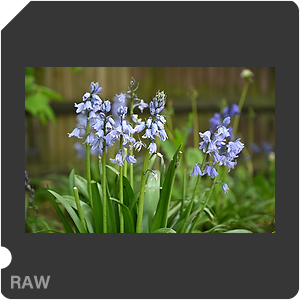 RAW sample