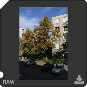 Камера Nikon D90 с объективом Nikkor 18-105mm f/3.5-5.6G ED. Примеры RAW файлов