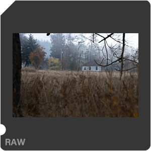 Nikon Z 8 + Nikkor Z 24-70mm f/2.8 S II. Examples of RAW files