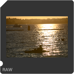 Nikon Z 7 Camera with AF-S Nikkor 120-300mm f/2.8E FL ED SR VR. Examples of RAW files