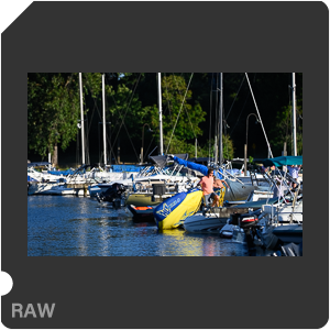 Nikon Z 7 Camera with AF-S Nikkor 120-300mm f/2.8E FL ED SR VR. Examples of RAW files