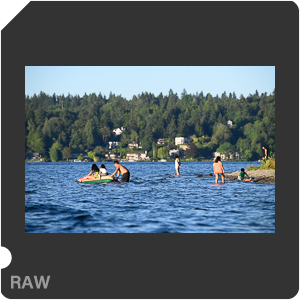 Nikon Z 7 Camera with AF-S Nikkor 120-300mm f/2.8E FL ED SR VR. Examples of RAW files