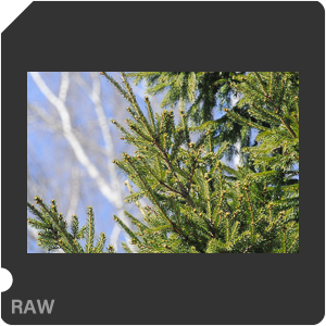 RAW sample