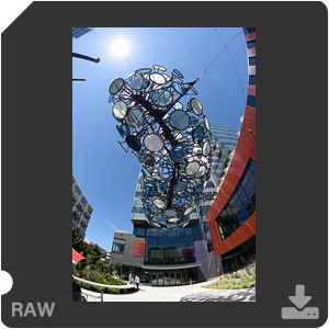 Nikon D810 с объективом AF-S Fisheye Nikkor 8-15mm f/3.5-4.5E ED. Примеры RAW файлов