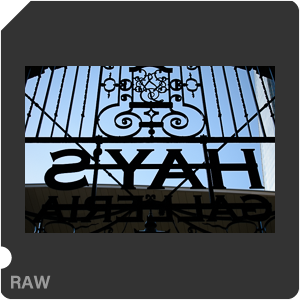 Камера Nikon D3500 с объективом AF-P DX Nikkor 18-55mm F/3.5-5.6G VR. Примеры RAW файлов