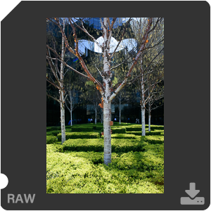 Камера Nikon 1 J5 с объективом 1 Nikkor VR 10-30mm f/3.5-5.6 PD-Zoom. Примеры RAW файлов