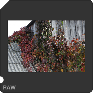 RAW sample
