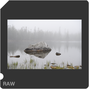 Камера Nikon D5 с объективом AF-S Nikkor 24-70mm f/2.8E ED VR. Примеры RAW файлов