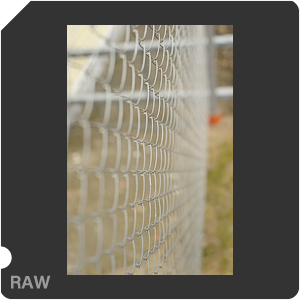 Nikon D700 Camera with AF Nikkor 50mm f/1.8. Examples of RAW files