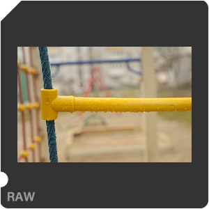 Nikon D700 Camera with AF Nikkor 50mm f/1.8. Examples of RAW files