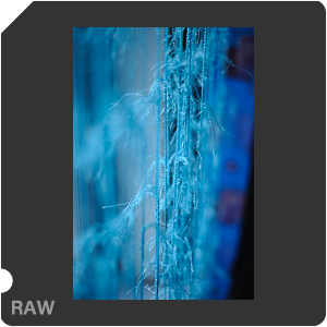 Nikon D700 Camera with AF Nikkor 50mm f/1.8. Examples of RAW files