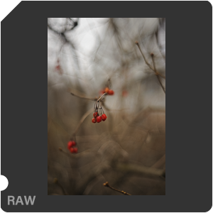 Nikon D700 Camera with AF Nikkor 50mm f/1.8. Examples of RAW files