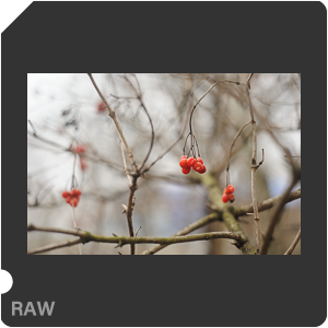 Nikon D700 Camera with AF Nikkor 50mm f/1.8. Examples of RAW files