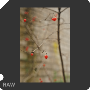 Nikon D700 Camera with AF Nikkor 50mm f/1.8. Examples of RAW files