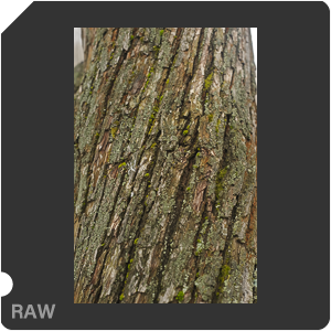 Nikon D700 Camera with AF Nikkor 50mm f/1.8. Examples of RAW files