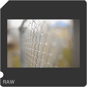 Nikon D700 Camera with AF Nikkor 50mm f/1.8. Examples of RAW files