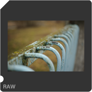 Nikon D700 Camera with AF Nikkor 50mm f/1.8. Examples of RAW files