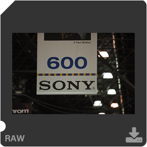 Камера Nikon D3 с объективом AF-S Nikkor 300 mm f/2.8G IF-ED VR. Примеры RAW файлов