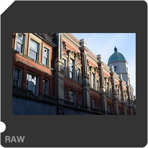 Камера Nikon Df с объективом AF-S Nikkor 85 mm f/1.8G. Примеры RAW файлов