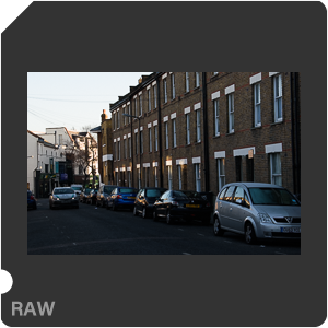 Камера Nikon D5600 с объективом AF-P DX Nikkor 18-55mm f/3.5-5.6G VR. Примеры RAW файлов