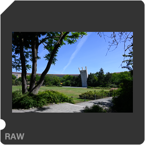 Камера Nikon Z 7 с объективом Nikkor Z 24-120mm f/4 S. Примеры RAW файлов