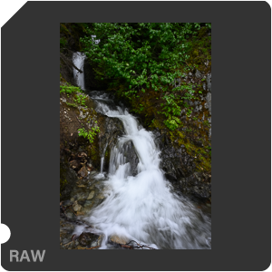 Камера Nikon Z 7 с объективом Nikkor Z 24-120mm f/4 S. Примеры RAW файлов