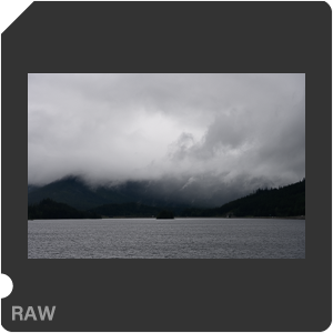 Камера Nikon Z 7 с объективом Nikkor Z 24-120mm f/4 S. Примеры RAW файлов