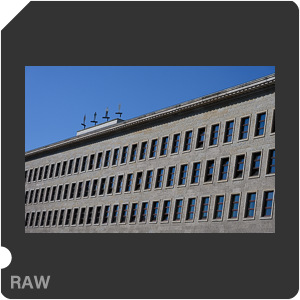 Камера Nikon Z 7 с объективом Nikkor Z 24-120mm f/4 S. Примеры RAW файлов